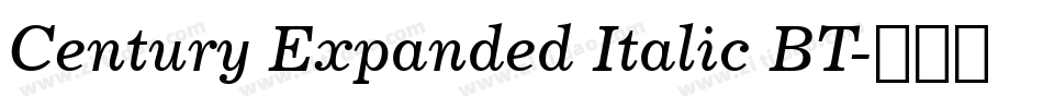 Century Expanded Italic BT字体转换